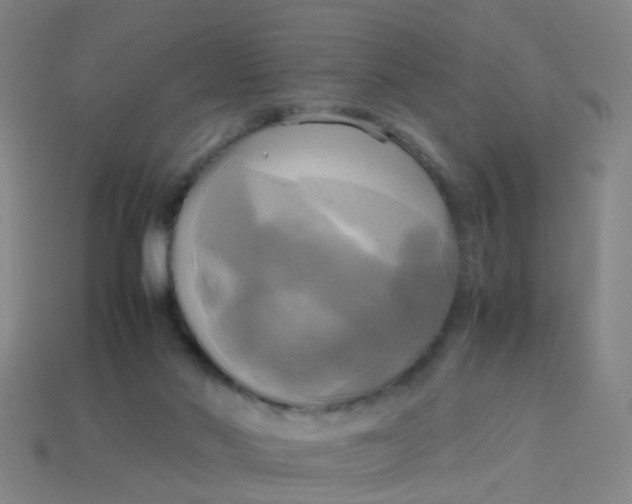 X0000113250022200910081328