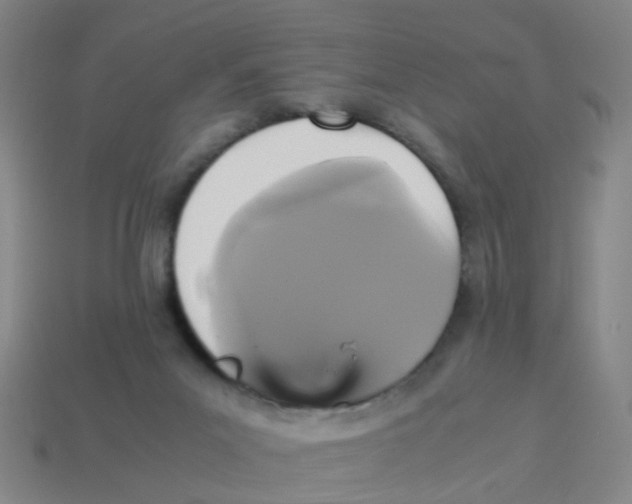 X0000113250023200910081328