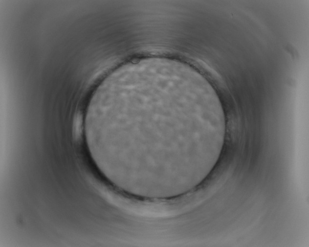 X0000113250024200910081328