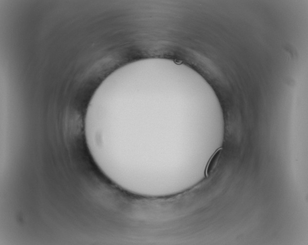 X0000113250025200910081328