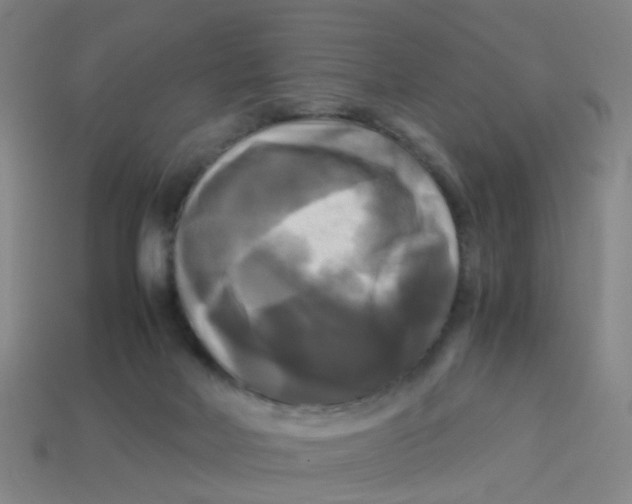 X0000113250026200910081328