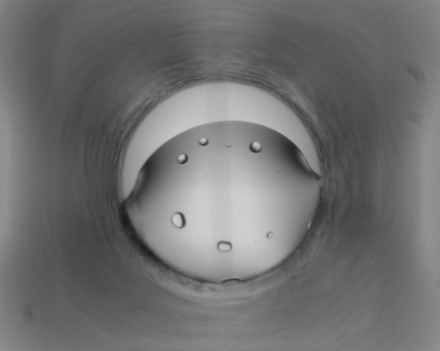 X0000113250027200910081328