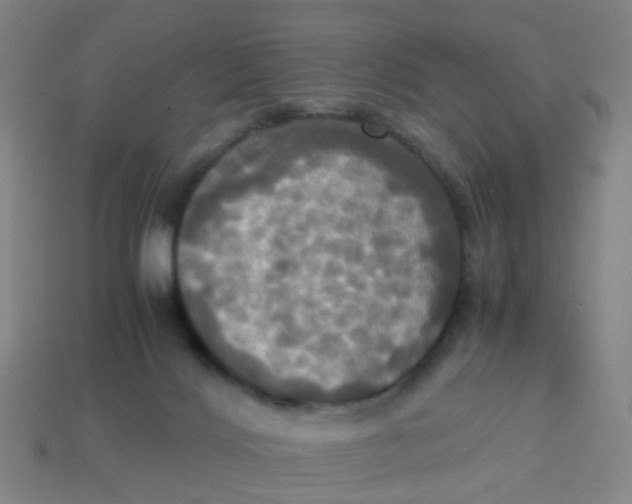 X0000113250028200910081328