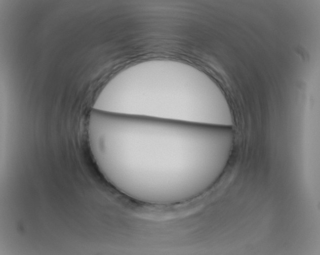 X0000113250029200910081328