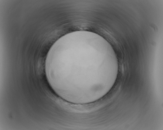 X0000113250030200910081328