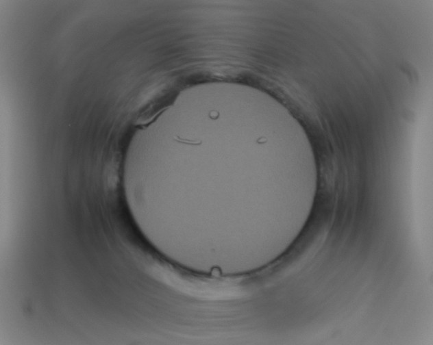 X0000113250032200910081328