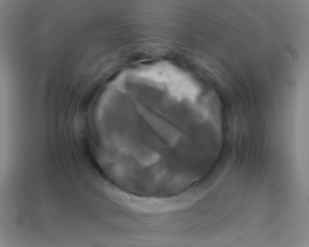 X0000113250034200910081328