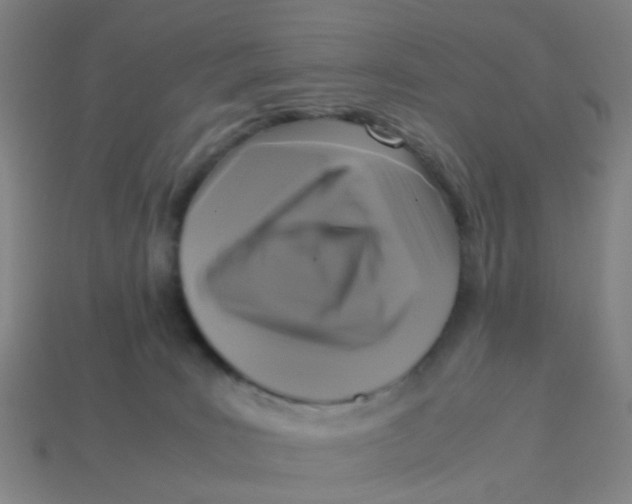 X0000113250035200910081328