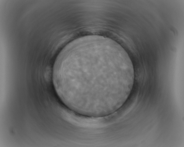 X0000113250036200910081328