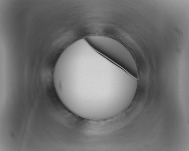 X0000113250037200910081328