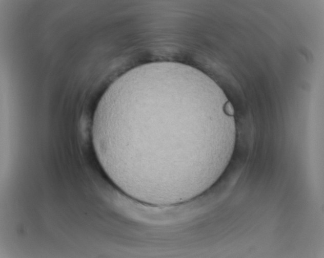 X0000113250038200910081328