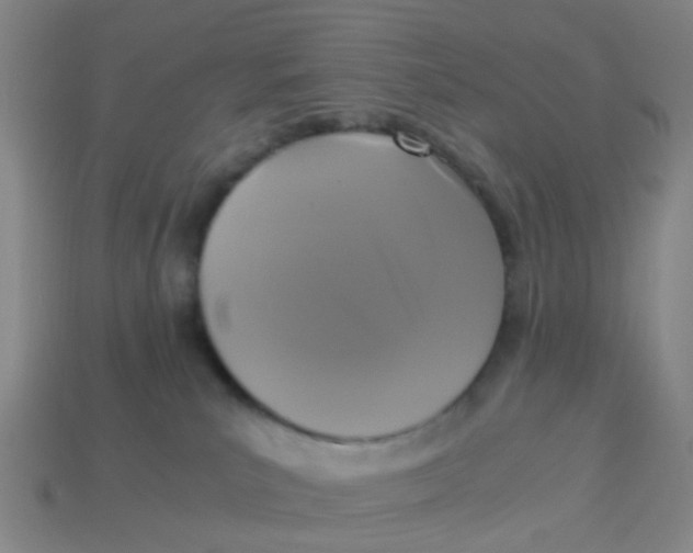 X0000113250039200910081328