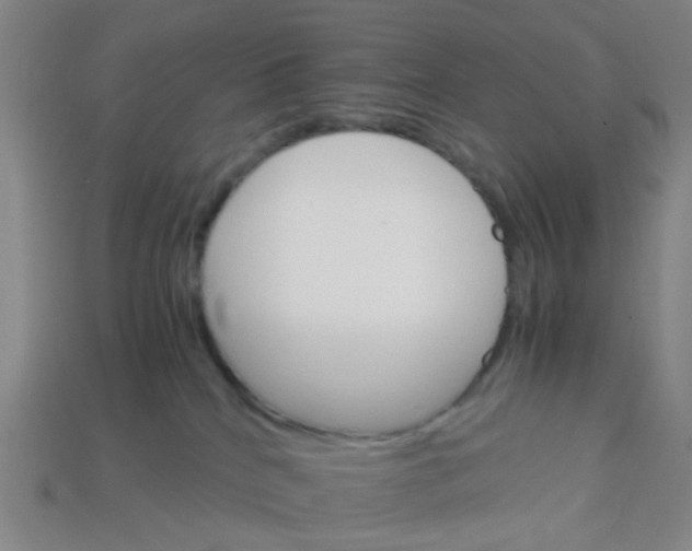 X0000113250040200910081328