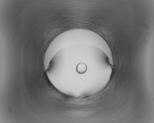 X0000113250041200910081328