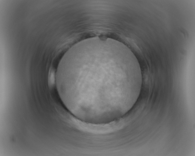 X0000113250042200910081328