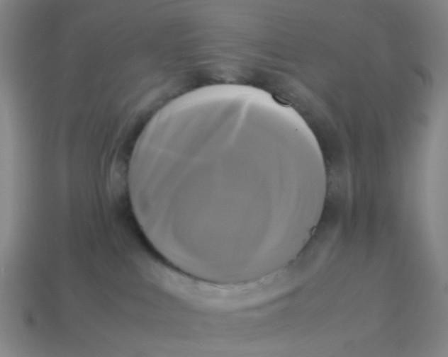 X0000113250043200910081328