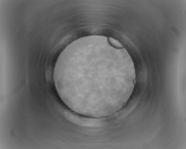 X0000113250044200910081328