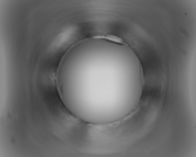 X0000113250045200910081328