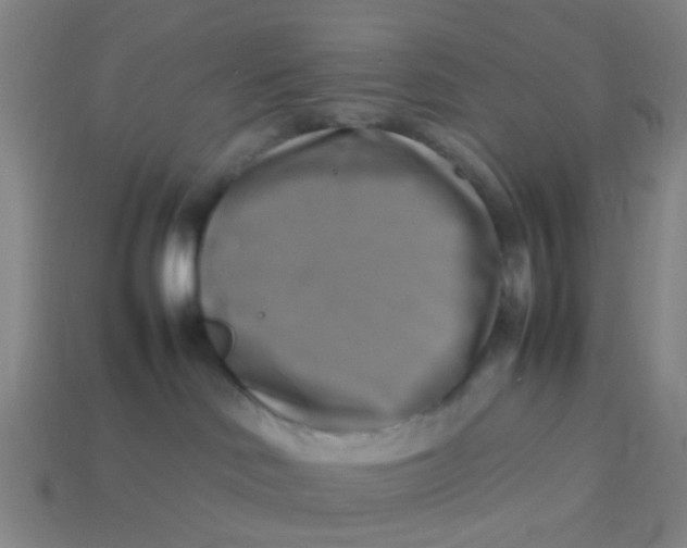 X0000113250046200910081328