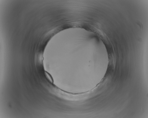 X0000113250047200910081328