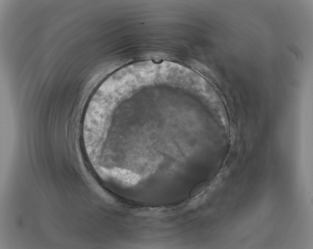 X0000113250049200910081327