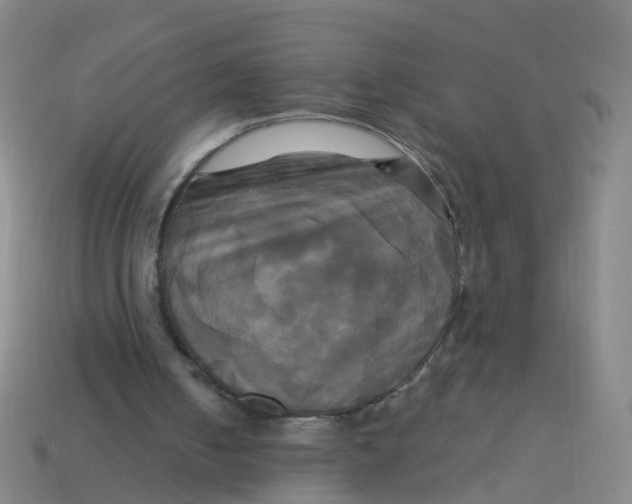 X0000113250050200910081327