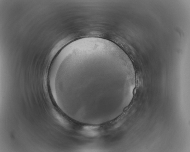 X0000113250051200910081327