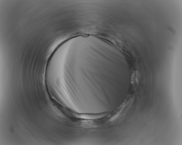 X0000113250052200910081327