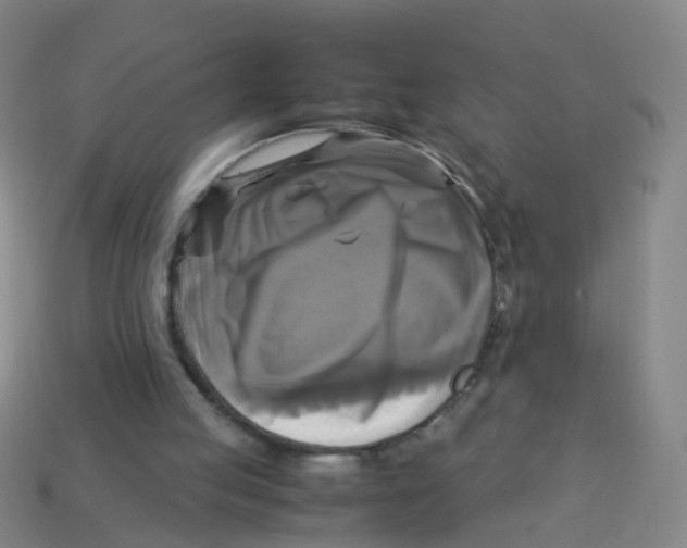 X0000113250053200910081327