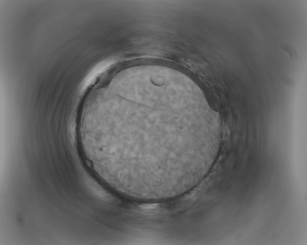 X0000113250054200910081327