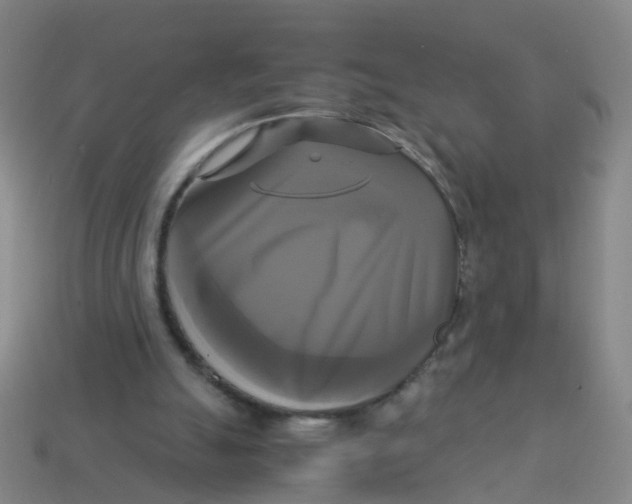 X0000113250055200910081327