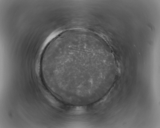 X0000113250056200910081327