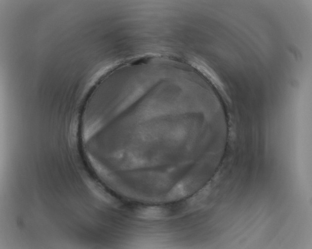 X0000113250058200910081327