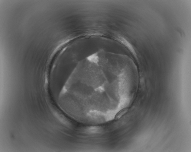 X0000113250059200910081327