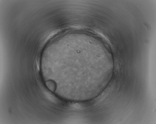 X0000113250062200910081327