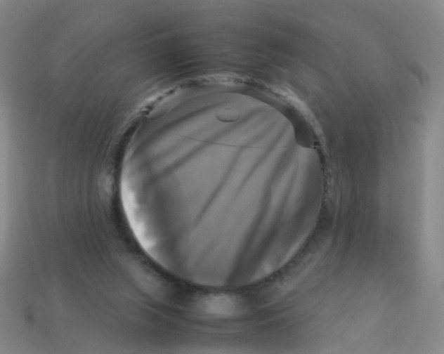 X0000113250063200910081327