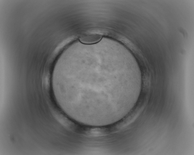 X0000113250064200910081327