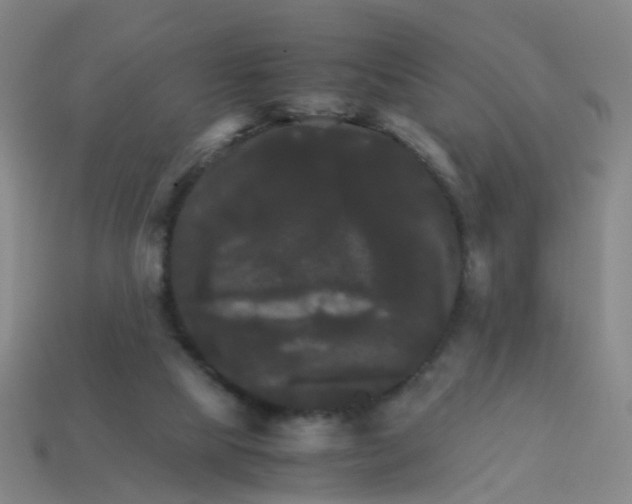 X0000113250065200910081327