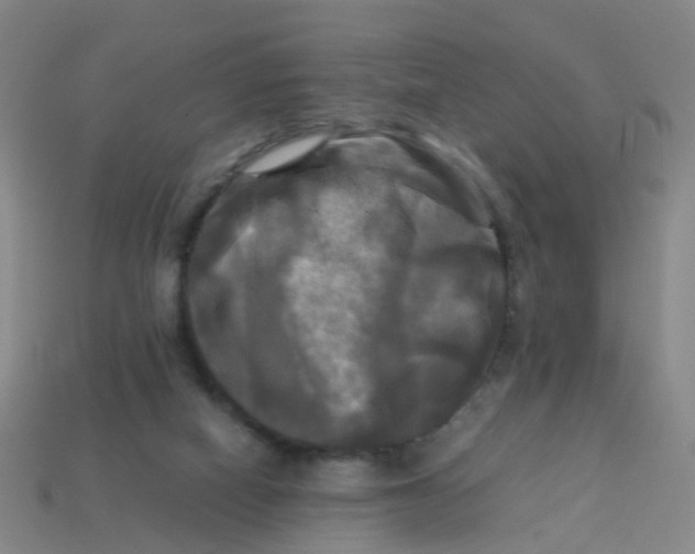 X0000113250066200910081327