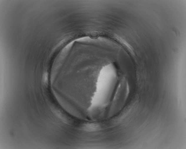 X0000113250067200910081327