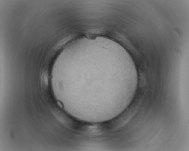 X0000113250068200910081327