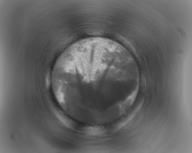 X0000113250069200910081327