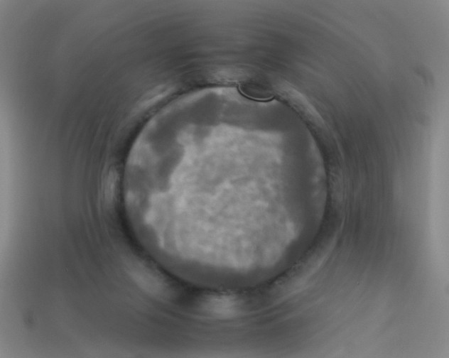 X0000113250071200910081327