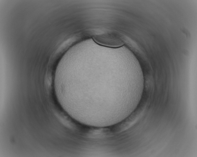 X0000113250072200910081327