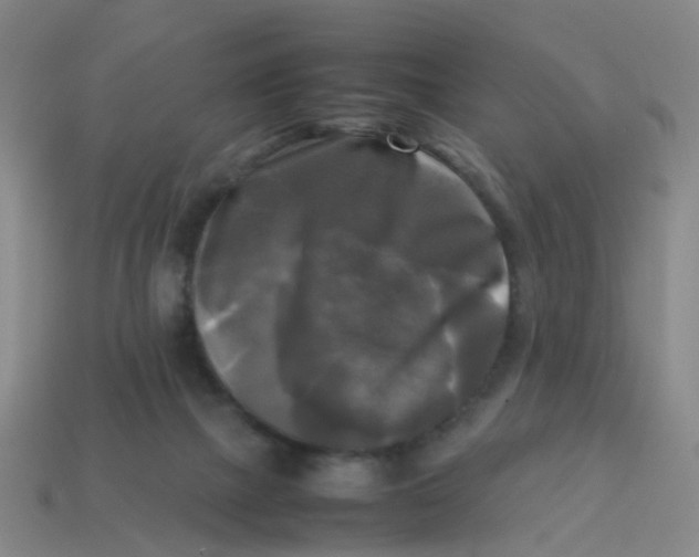 X0000113250073200910081327