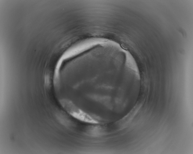 X0000113250074200910081327