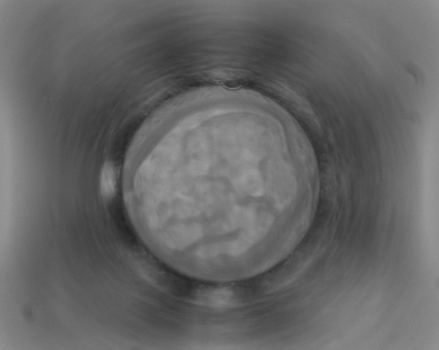 X0000113250075200910081327