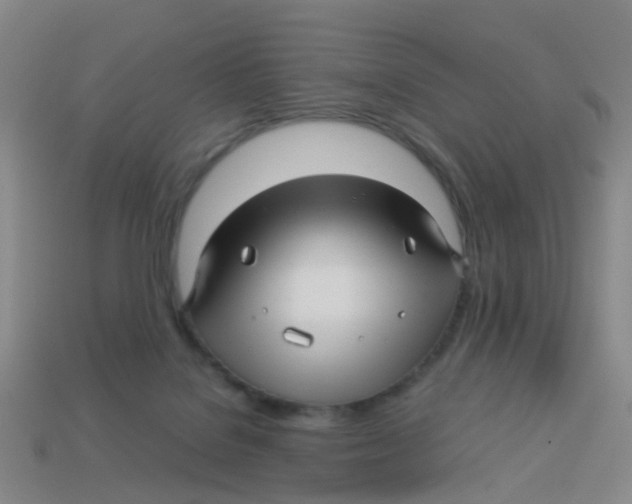 X0000113250076200910081327