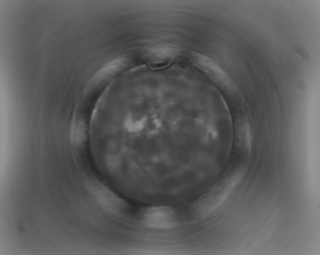 X0000113250077200910081327