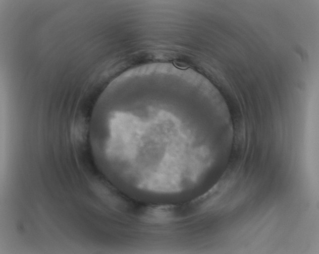 X0000113250078200910081327